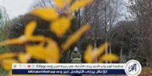 الطقس اليوم الثلاثاء 29 سبتمبر 2026.. أجواء خريفية وشبورة وأمطار والعظمى بالقاهرة 31 درجة