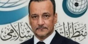 حضور دبلوماسي وإعلامي قوى..التعاون الإسلامي تبرز جهود الأمين العام بالأمم المتحدة تجاه فلسطين وحل النزاعات كتب