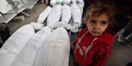 الصحة: 97 شهيدًا و440 إصابة في غزة خلال 24 ساعة