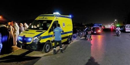 إصابة 4 أشخاص بينهم طفلان في تصادم سيارة ملاكي بعمود إنارة بطريق شرنقاش - طلخا