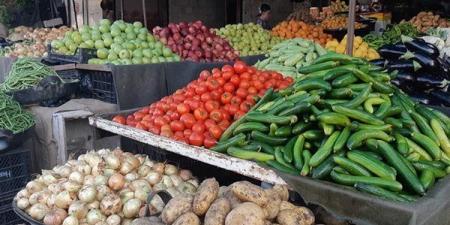 سعر الخضار اليوم السبت، ارتفاع 6 أصناف وانخفاض الخيار والليمون البلدي