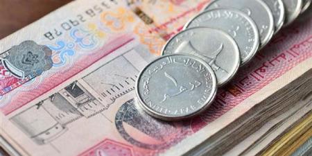 سعر الدرهم الإماراتي مقابل الجنيه في البنك المركزي (تحديث لحظي)
