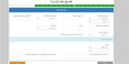 شروط إصدار وتجديد تصاريح العمل للمصريين بالخارج.. تعرف على المستندات والفئات المستثناة