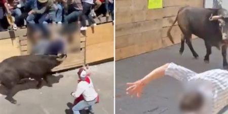 قتيلان و11 مصابا في مهرجان مطاردة الثيران بشوارع المكسيك (فيديو)