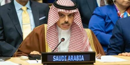 وزير الخارجية: المرحلة المقبلة تتطلب إصلاحاً جاداً لمنظمة التعاون الإسلامي