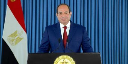 السيسي يعلن تدشين المرحلة الثالثة من توسعات المنطقة الصناعية المصرية الصينية بقناة السويس