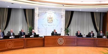 الاستثمار الأجنبي يقفز وميزان المدفوعات يتحسن.. ماذا ناقشت المجموعة الاقتصادية؟