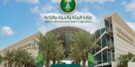 وزارة البيئة تطرح 3 فرص استثمارية في الشرقية والباحة وجازان