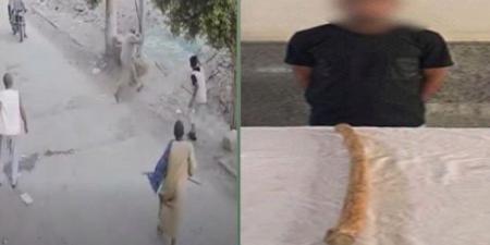 مشاجرة بالعصي في أسيوط تنتهي بضبط المتهم وكشف ملابسات الفيديو