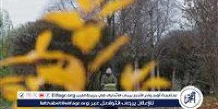 الطقس اليوم الثلاثاء 29 سبتمبر 2026.. أجواء خريفية وشبورة وأمطار والعظمى بالقاهرة 31 درجة