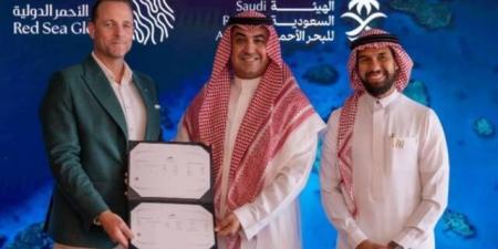 "البحر الأحمر الدولية" تحصل على رخصتي تشغيل لمرسيي "أمالا" و"شورى"