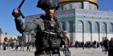 الأوقاف الفلسطينية: 2468 مستوطنا اقتحموا اليوم المسجد الأقصى في القدس المحتلة