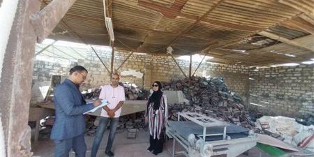 "العمل" تنفذ حملات تفتيشية على منشآت المنطقة الصناعية بالوادي الجديد