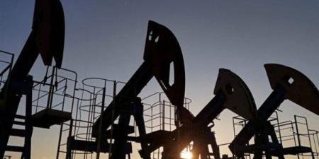 خبير اقتصادي: اضطراب الملاحة عبر هرمز يهدد بزيادة الضغوط على اقتصاديات النفط بالمنطقة