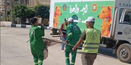 تكثيف الحملات بالمناطق الأكثر تعرضا لانتشار الكلاب الضالة للحد من مخاطرها في الدقهلية