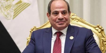 السيسي يؤكد أهمية الاستفادة من إمكانات القطاع الخاص في مصر وغانا