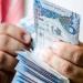 "مصنع البتال" تقلص خسائرها بالنصف الأول..و"المتراكمة" 74.3% من رأس المال