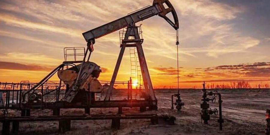 النفط
      يرتفع
      4%
      وخام
      برنت
      يتجاوز
      80
      دولار
      للبرميل