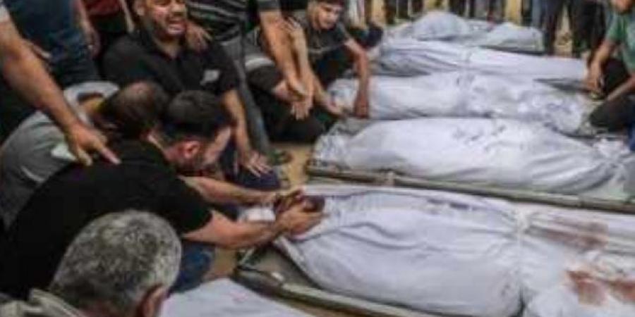 نائب رئيس برنامج الأغذية العالمى: ما زلنا نتجه نحو المجاعة فى شمال قطاع غزة