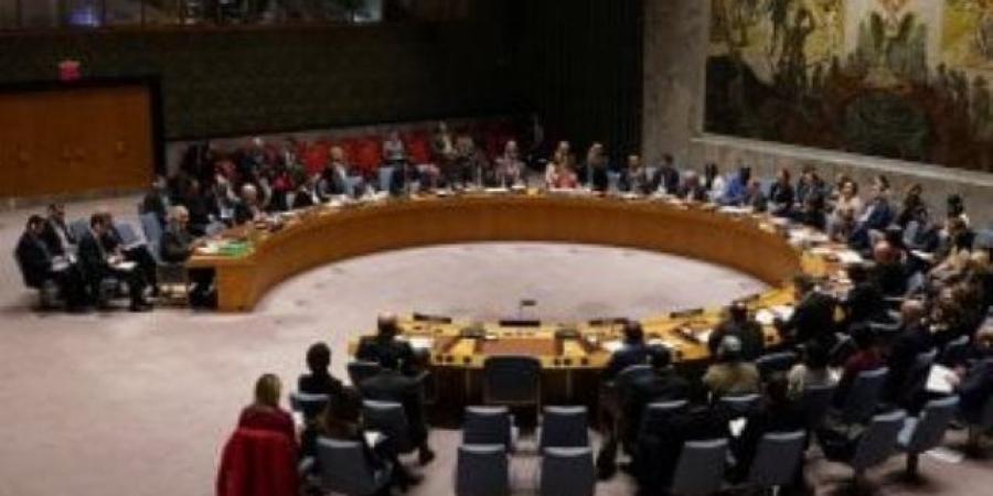 سوريا:الغرب يواصل منع مجلس الأمن من وقف حرب الإبادة فى غزة