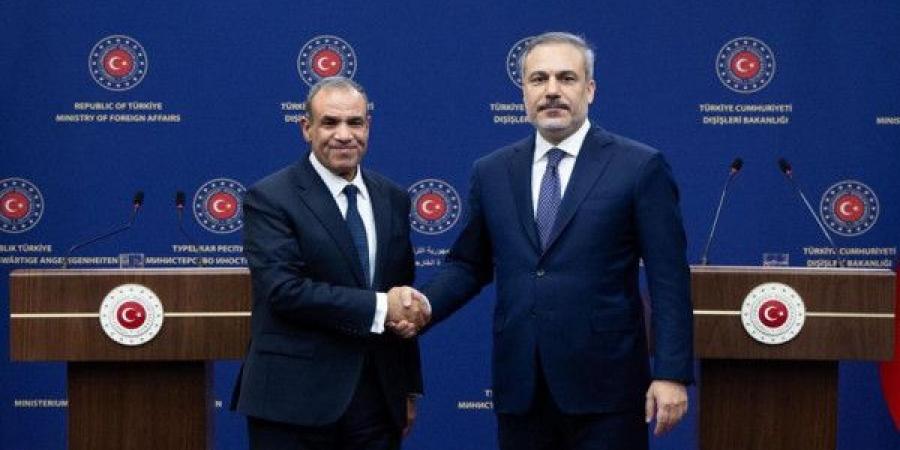 مباحثات مصرية تركية حول آخر التطورات في غزة