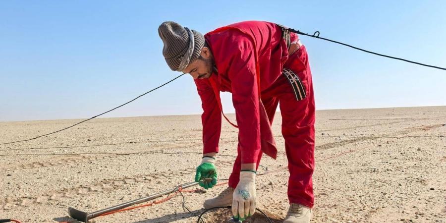 «الغطاء النباتي» و«أرامكو» يتعاونان لنثر 50 مليون بذرة في صحراء الربع الخالي