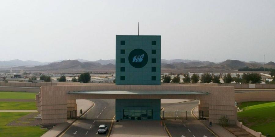 جامعة جدة تطلق روزنامة البرامج التدريبية الصيفية 2025