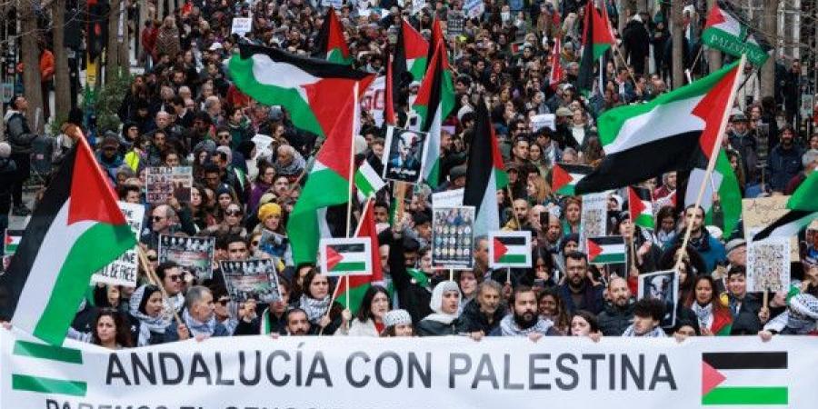 إسبانيا تعلن حظرًا شاملًا لتصدير واستيراد الأسلحة من وإلى إسرائيل