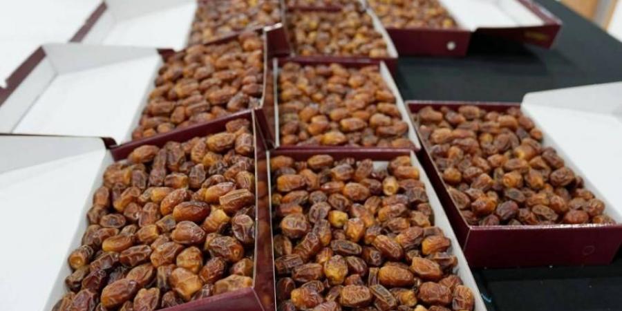 مهرجان ومزاد الظفرة للتمور ينطلق 17 الجاري