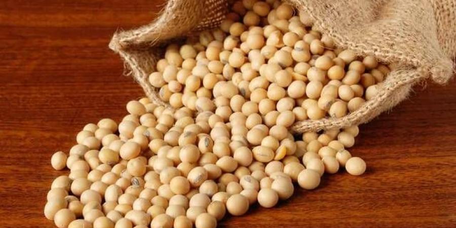 محادثات التجارة مع الصين ترفع أسعار فول الصويا