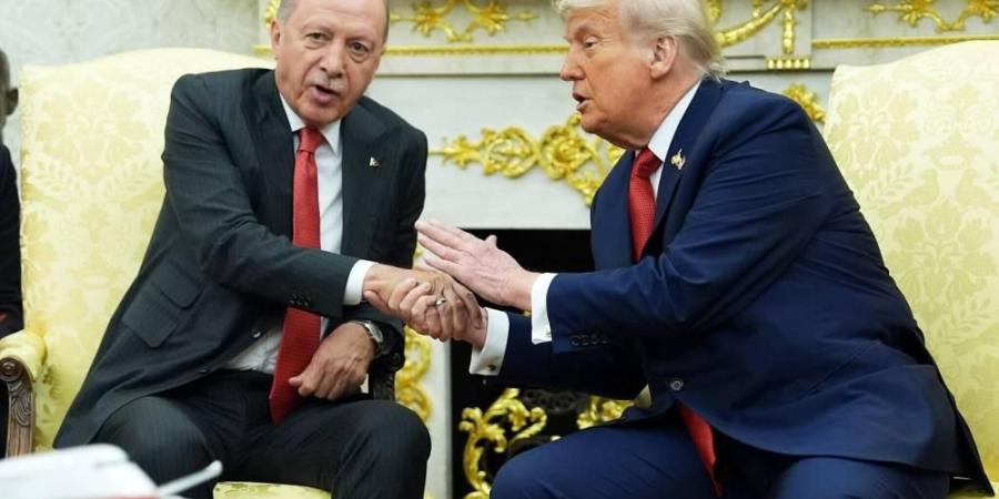 أردوغان: نواصل دعم رؤية ترامب للسلام العالمي