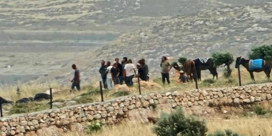 مستوطنون يجبرون المواطنين على مغادرة أراضيهم في فرخة غرب سلفيت