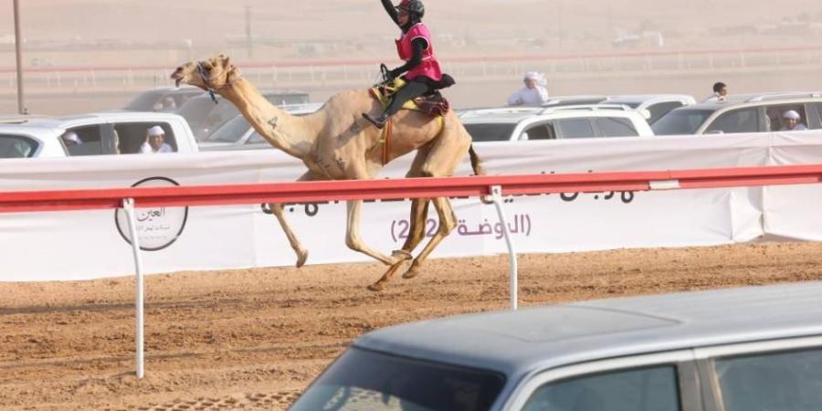 «لفان» تتألق في انطلاقة مهرجان العين للهجن