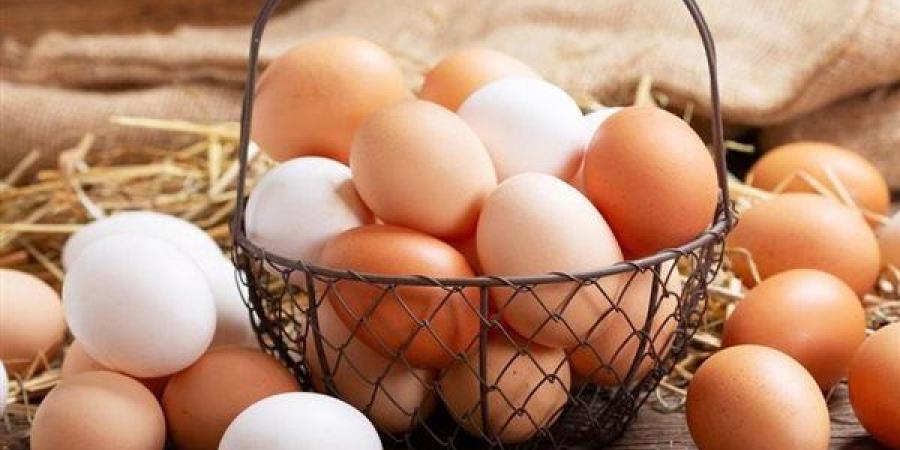 تسمم البيض، هل يحتوي على السالمونيلا؟ أخصائي تغذية يجيب