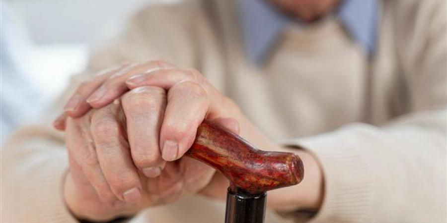 بدون انتظار أو مزاحمة، كيف تنهي معاملاتك الحكومية مجانًا وبامتيازات خاصة بعد سن الـ60؟