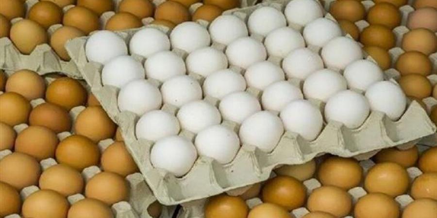 انخفاض الأحمر والأبيض، سعر كرتونة البيض اليوم الإثنين في بورصة الدواجن
