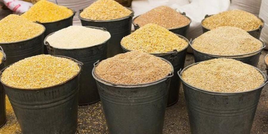 ارتفاع الجلوتين والجلوتوفيد، أسعار الأعلاف والحبوب اليوم في الأسواق