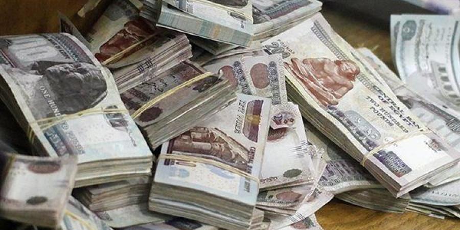 من الهجرة غير الشرعية إلى غسل الأموال، رحلة محاولة شخصين غسل 20 مليون جنيه تنتهي بالكلابشات