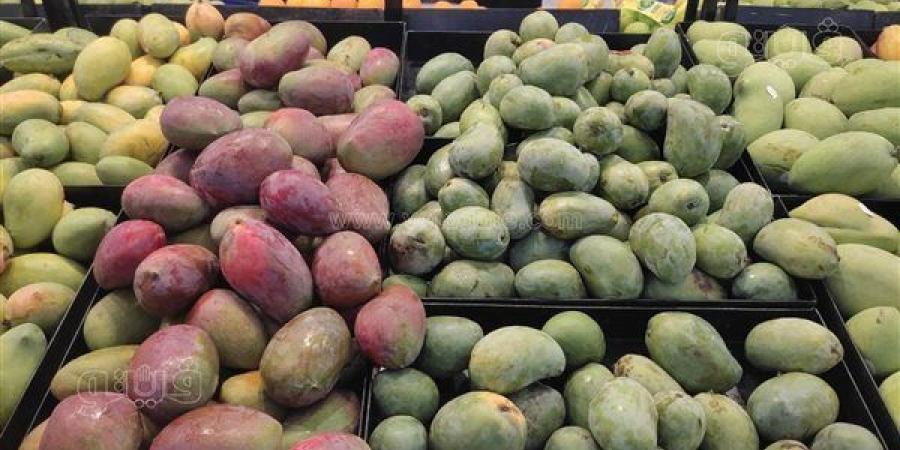 أسعار المانجو اليوم، العويسي والفص تسجلان 100 جنيه وانخفاض السكري 5 جنيهات
