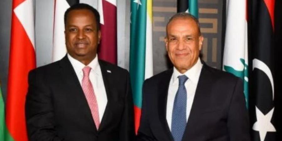 وزير الخارجية يطالب نظيره الصومالى ببذل كافة الجهود للإفراج عن المصريين المحتجزين