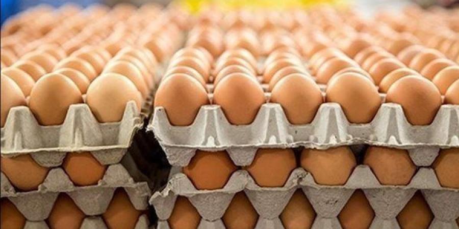 ارتفاع يصل لـ9 جنيهات في سعر كرتونة البيض اليوم الثلاثاء ببورصة الدواجن