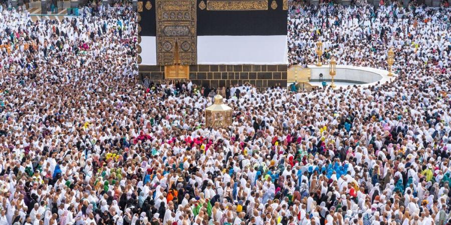 حج الأغنياء.. التأشيرة وحدها بـ5 آلاف دولار.. وتكاليف البرنامج تتجاوز المليون جنيه.. 5 آلاف تأشيرة بلا قرعة.. و1700 شركة تتقدم لتنظيم الحج المباشر