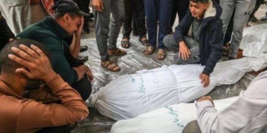 استشهاد 4 فلسطينيين وإصابة 12 بنيران الاحتلال الاسرائيلى فى غزة