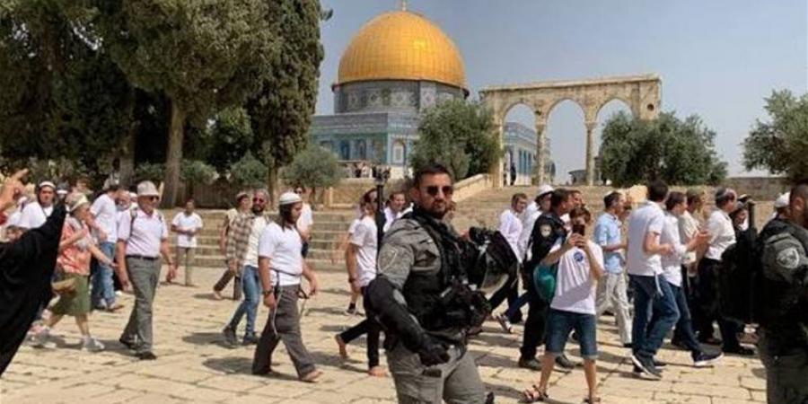 "الأوقاف الإسلامية بالقدس": 907 مستوطنين اقتحموا المسجد الأقصى بحماية شرطة الاحتلال