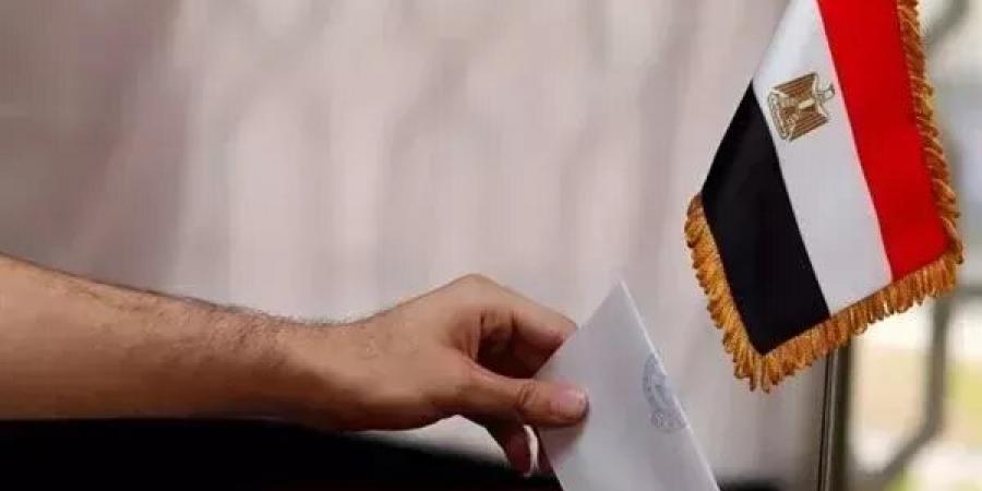 اليوم، نظر الطعن المقدم على نتيجة الانتخابات بدائرة المنتزه في الإسكندرية