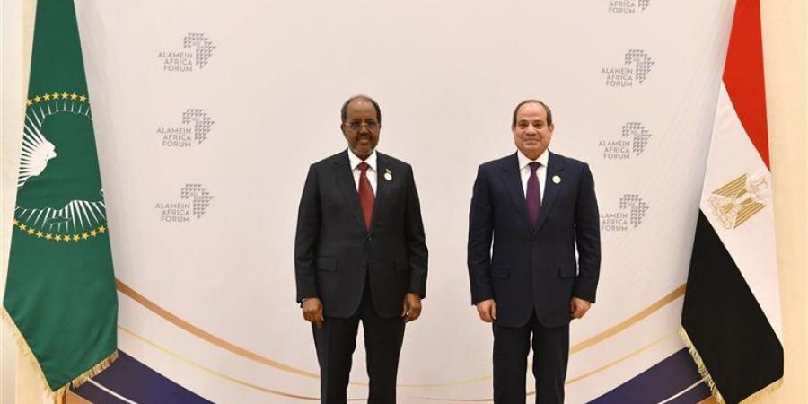 السيسي: القطاع الخاص قاطرة التنمية وخلق فرص عمل