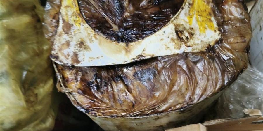 ضبط 2.5 طن أسماك مملحة فاسدة داخل مخزن بشبرا الخيمة