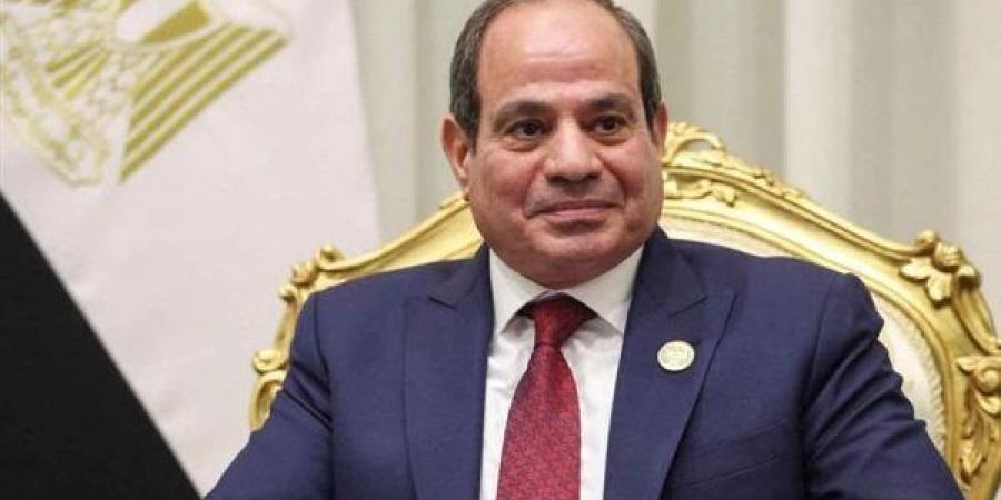 السيسي يؤكد أهمية الاستفادة من إمكانات القطاع الخاص في مصر وغانا