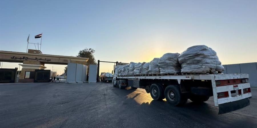 الهلال الأحمر يرسل 3 آلاف طن مساعدات لغزة عبر قافلة «زاد العزة 289»
