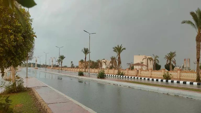 الأرصاد: النينيو قد تسهم في زيادة الأمطار خلال الخريف والشتاء